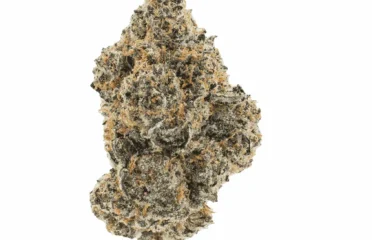 SLUGGERS – INDOOR FLOWER – 33 – 5G