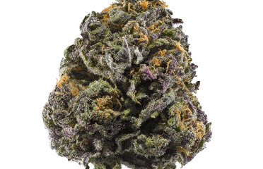 SLUGGERS – INDOOR FLOWER – 33 – 5G