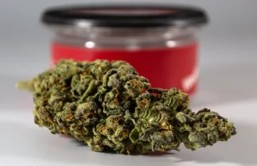 STIIIZY – Light Grey Mylar – Forbidden Jealousy – 3.5g